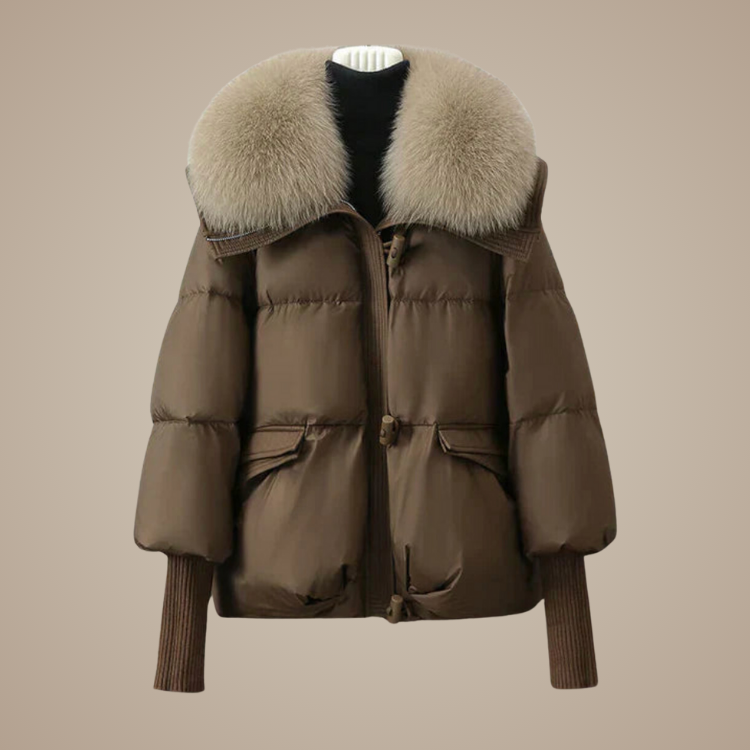 THE VIOLA JACKET