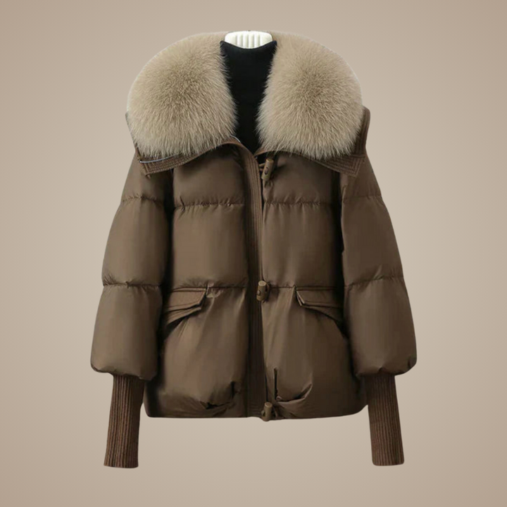 THE VIOLA JACKET