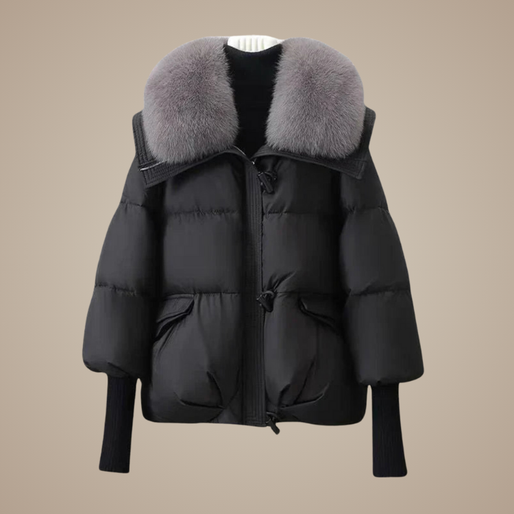 THE VIOLA JACKET